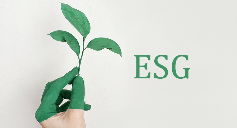 ARTICLE ESG principles and their impact on corporate world